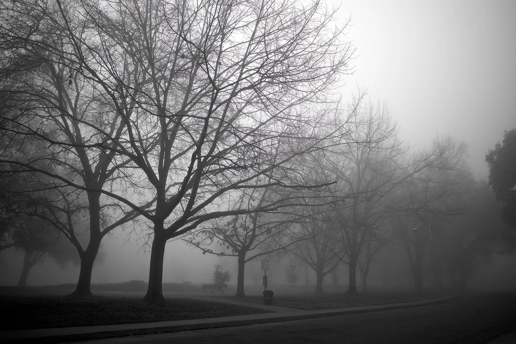 Sacramento foggy morning street photograph