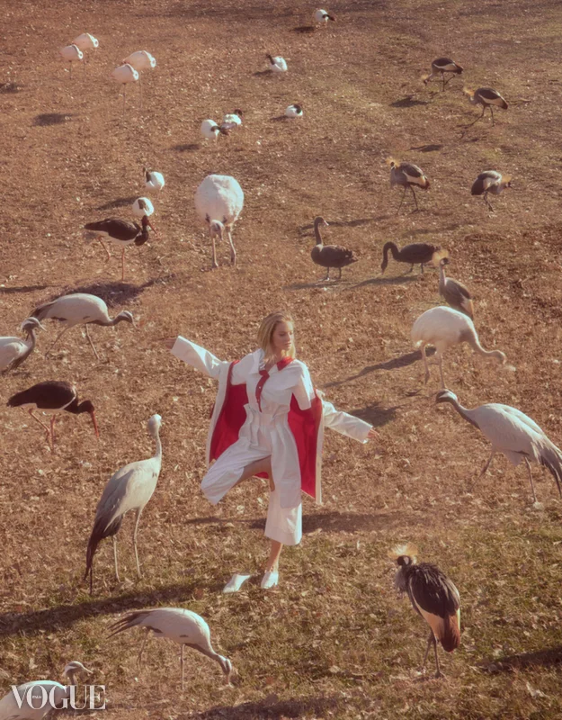 Birds