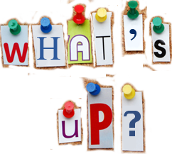 Time for Another "What's Up with You Dude?"