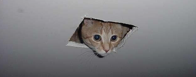 Screen Shot 2013-03-19 at 10.52.59 AM.png