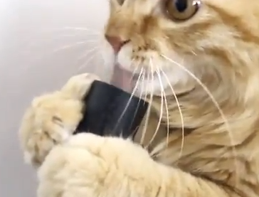 This Will Make you Smile
