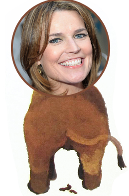 Which Female Network Anchor is Scared to Poop in Public?