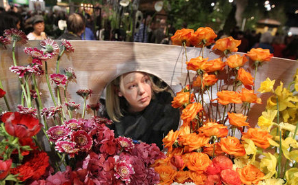 Flower Show Loses Big $$$ and Blames TV Weather Anchors