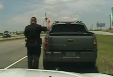 Zimmerman Traffic Stop Video