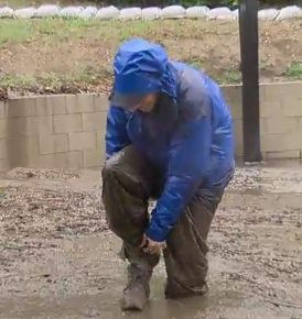 Baby needs a New Pair of Shoes