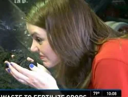 Oh Shit! Did St. Louis Reporter Really Do That?!