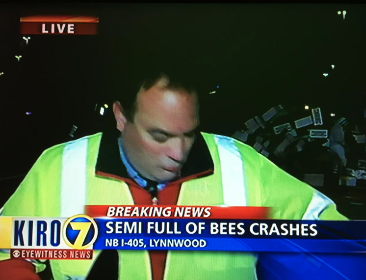 Guess we Can Call it Bee Roll