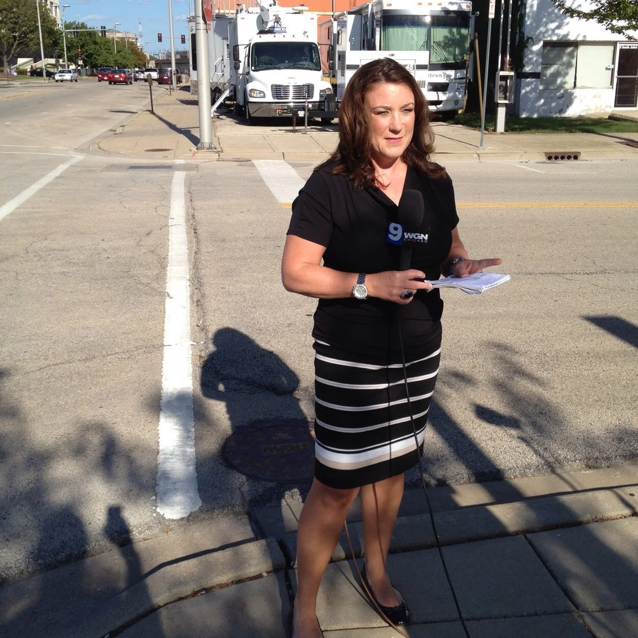 WTF?! Viewer Tells Chicago Reporter She Needs to Lose Weight 