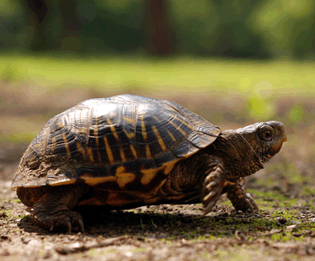 Slow News Day in So Cal 