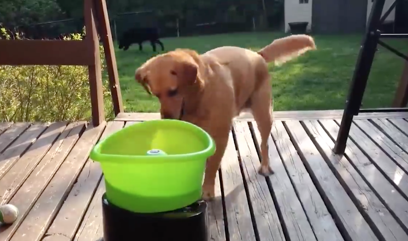 Watch This....