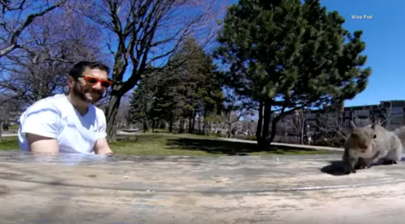 Camera Thief Caught Redhanded on Video 