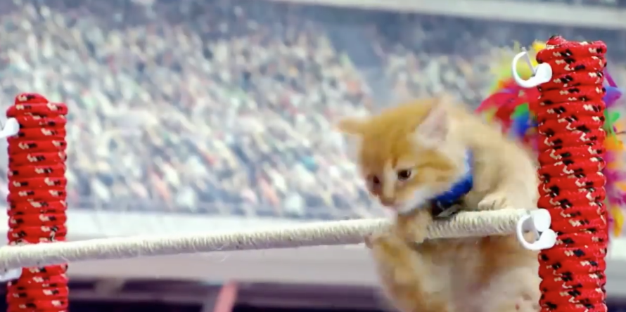 The Puuuurfect Olympics