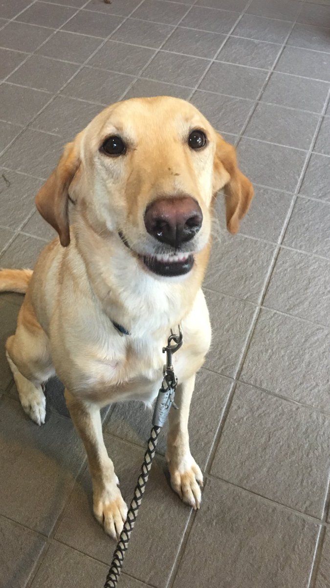 The House Guest Update