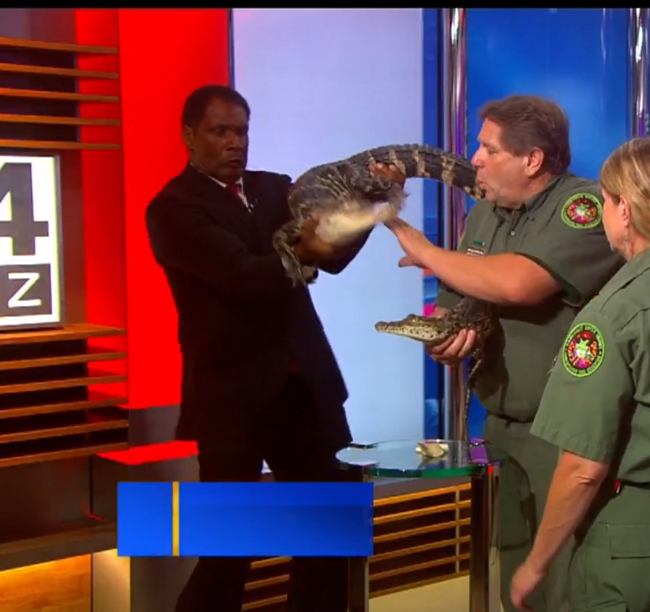 Gator Boys 