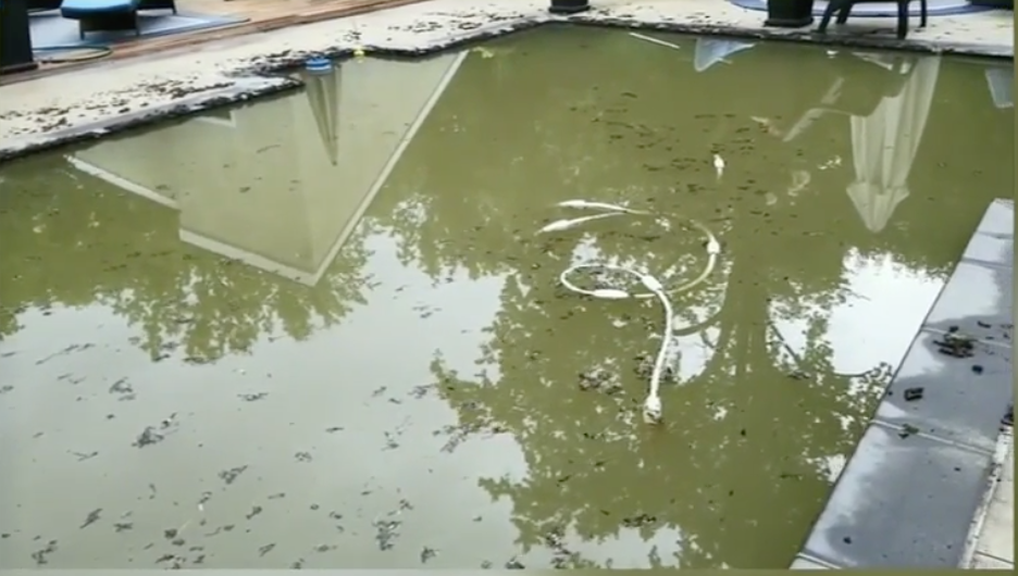 When the Weather Comes To You 