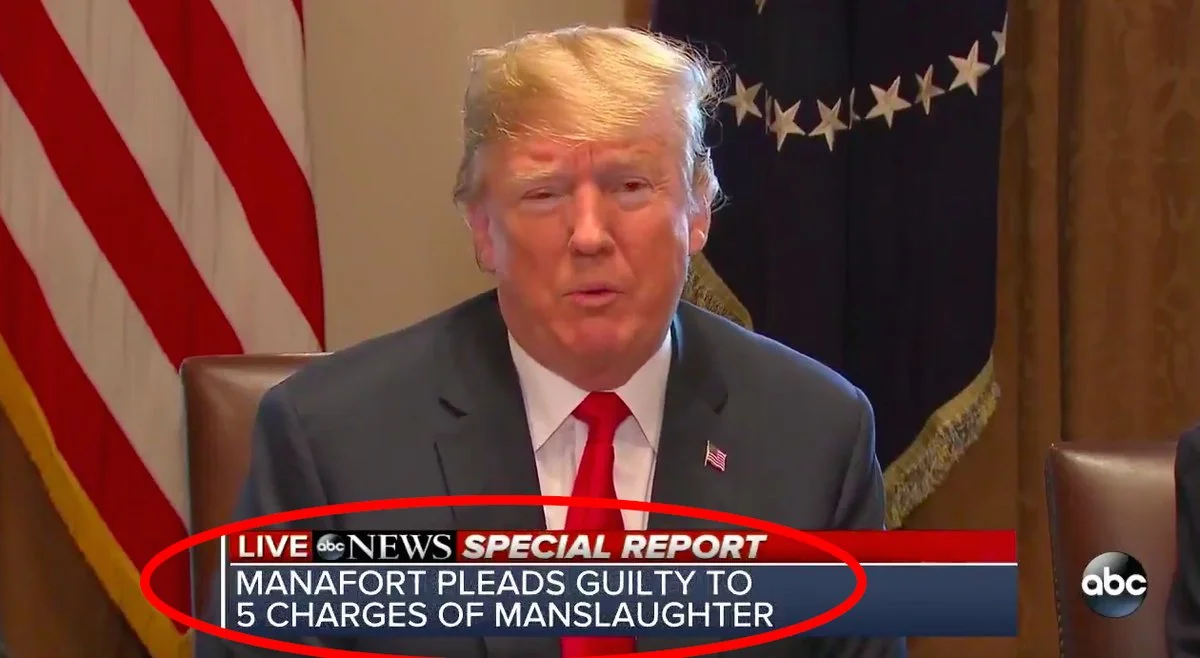 ABC News Reports Paul Manafort Plead Guilty to Manslaughter 