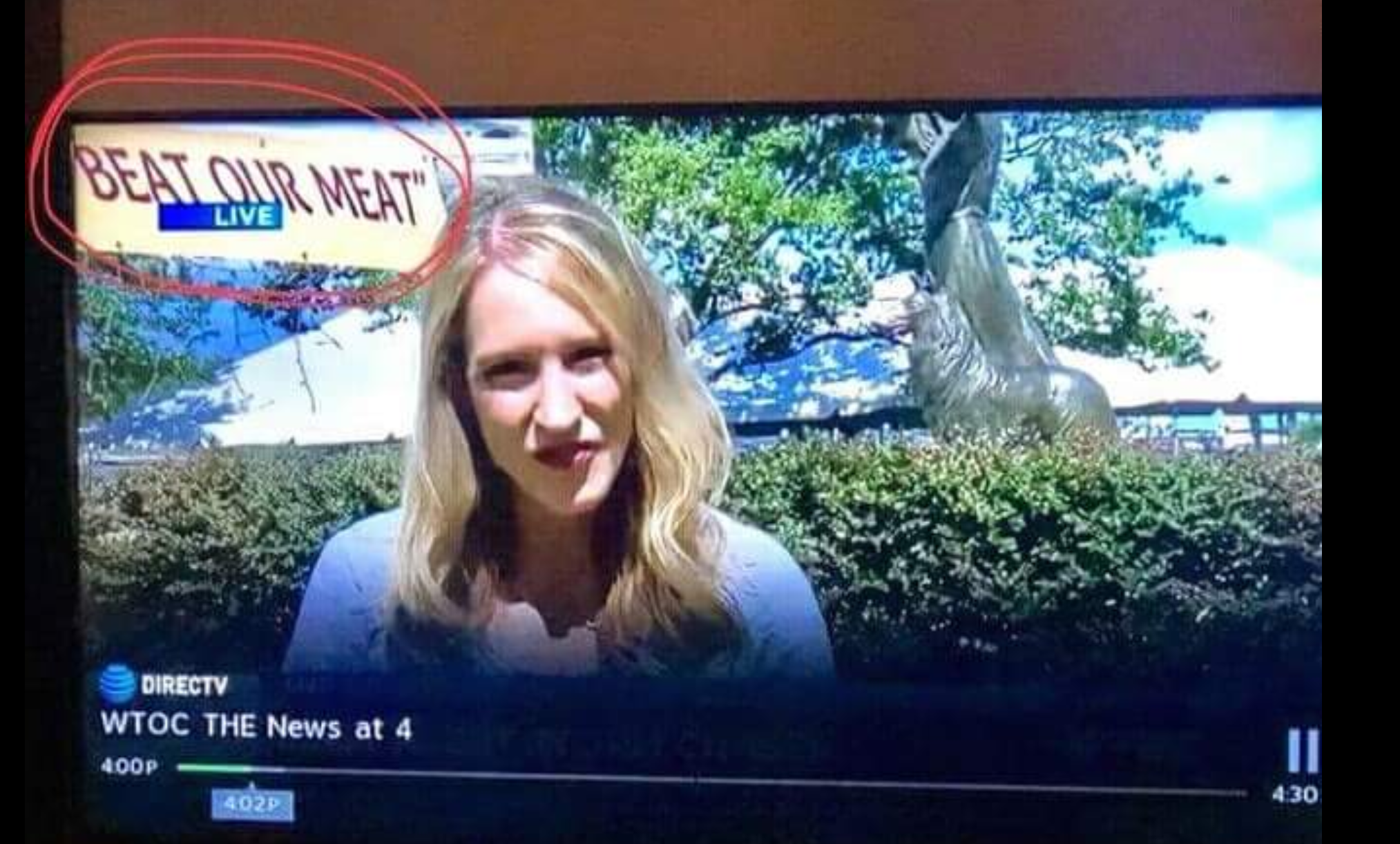 Say What? 