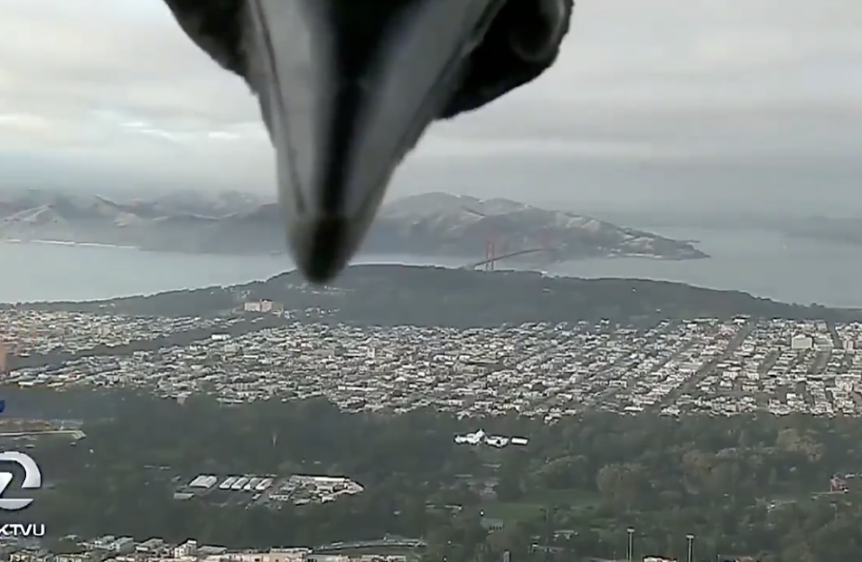 A Forecast for the Birds 