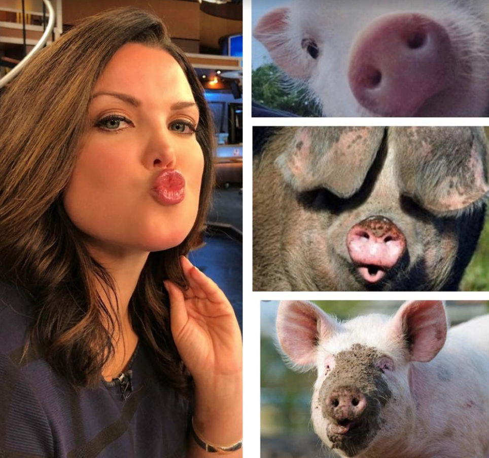 Welcome to TV News in Oklahoma 