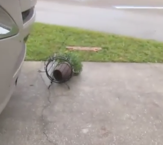 Look At That Damage!!!!