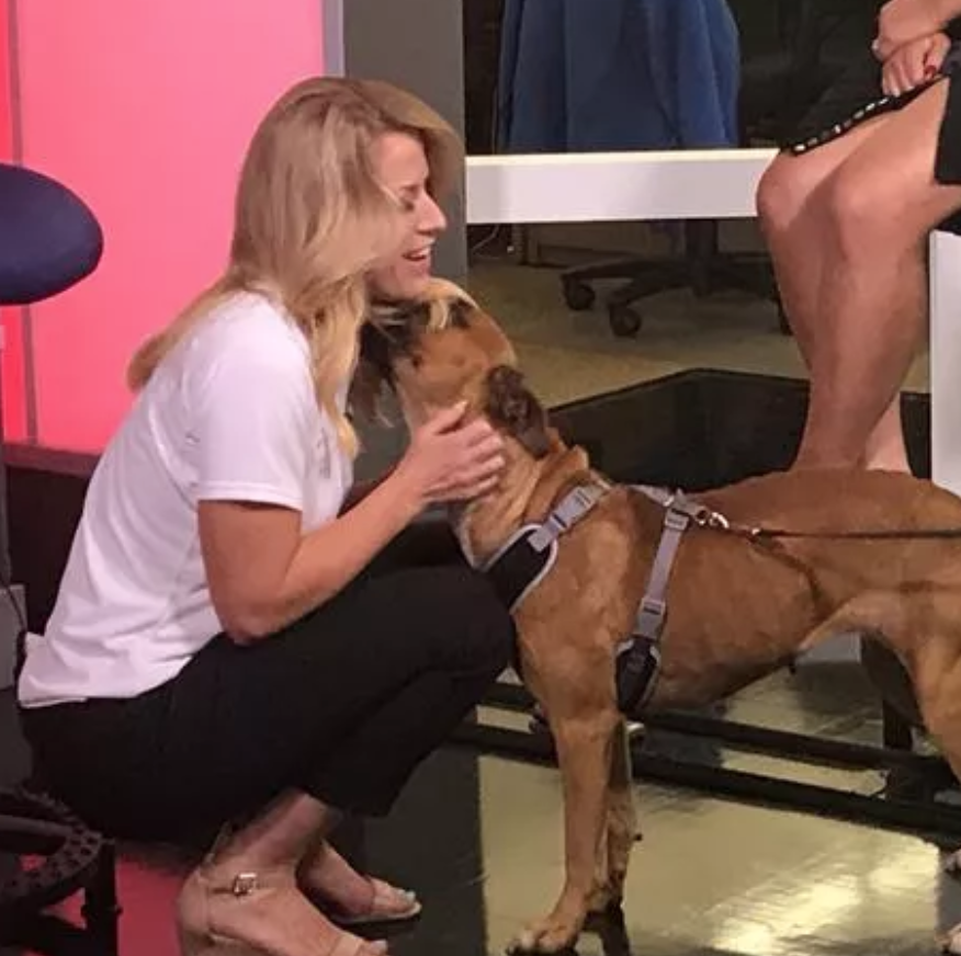 Another FTVLive Hero 