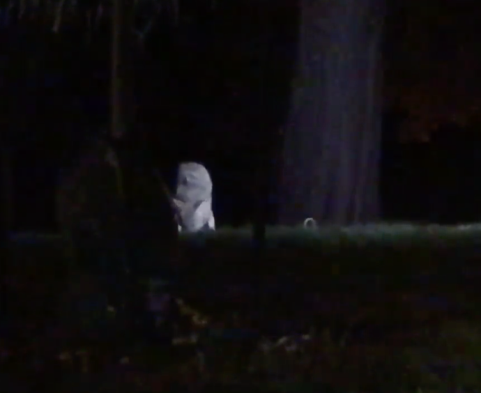 Coyote Shows Up on Live Shot 