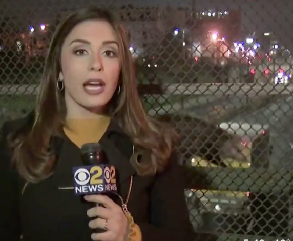 The Photo Bombing Possum