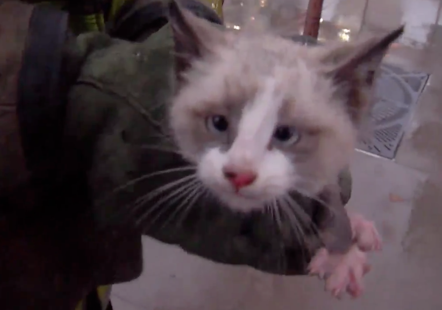 FTVLive's Heroes Of the Week