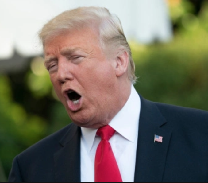 More Support From the Leader of the Free World