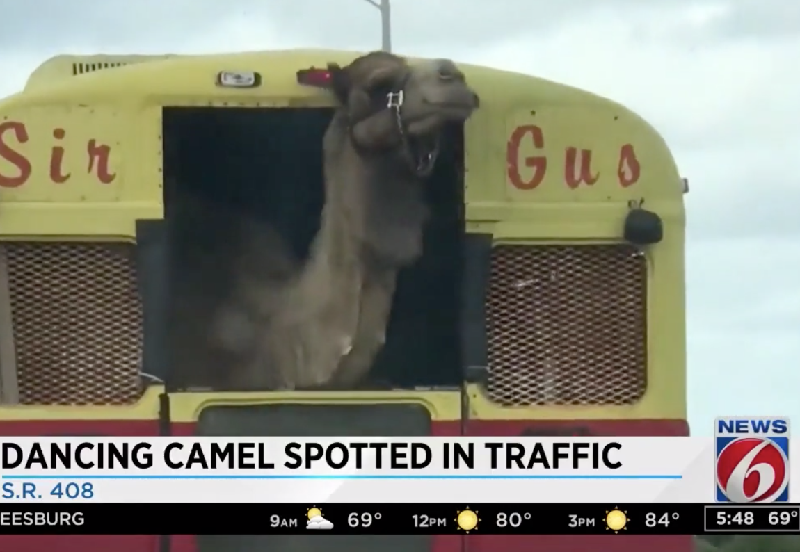 Slow News Day....huh? 