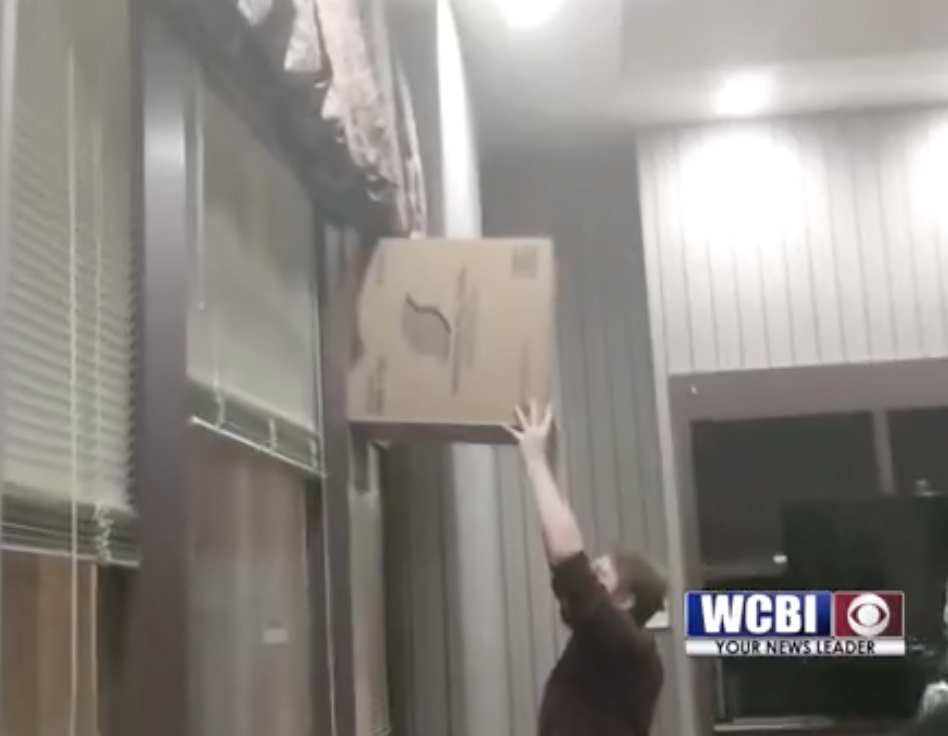 It Will Drive You Batty 