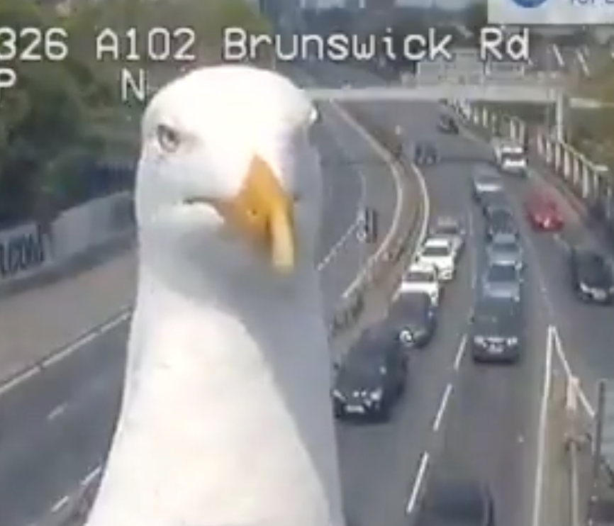 Don't Let Tegna See This... 