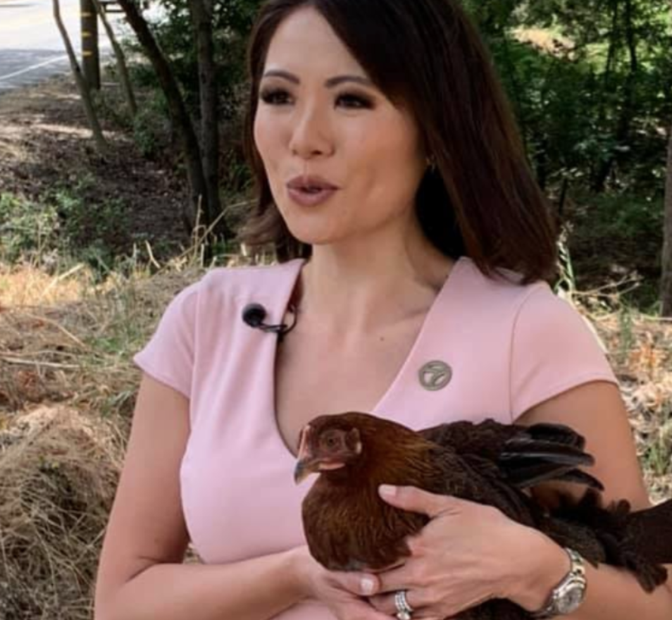 They Didn't Teach This in J-School 