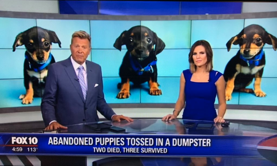 Missing in Phoenix Day 2 