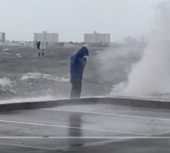 The American Bald Ego 