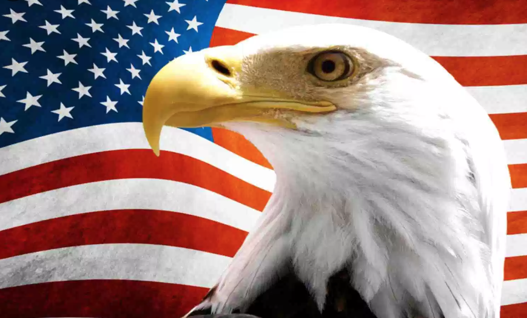 The National Anthem is Back on Television 