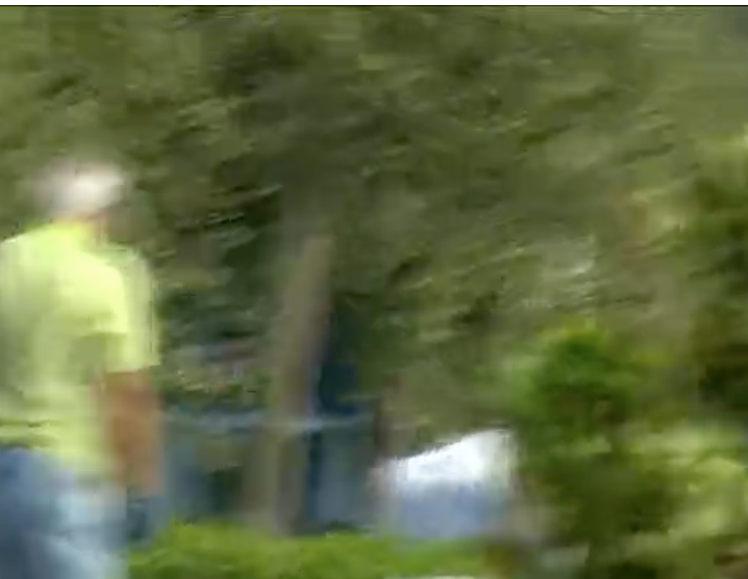 Florida MMJ is Attacked While Working on a Story