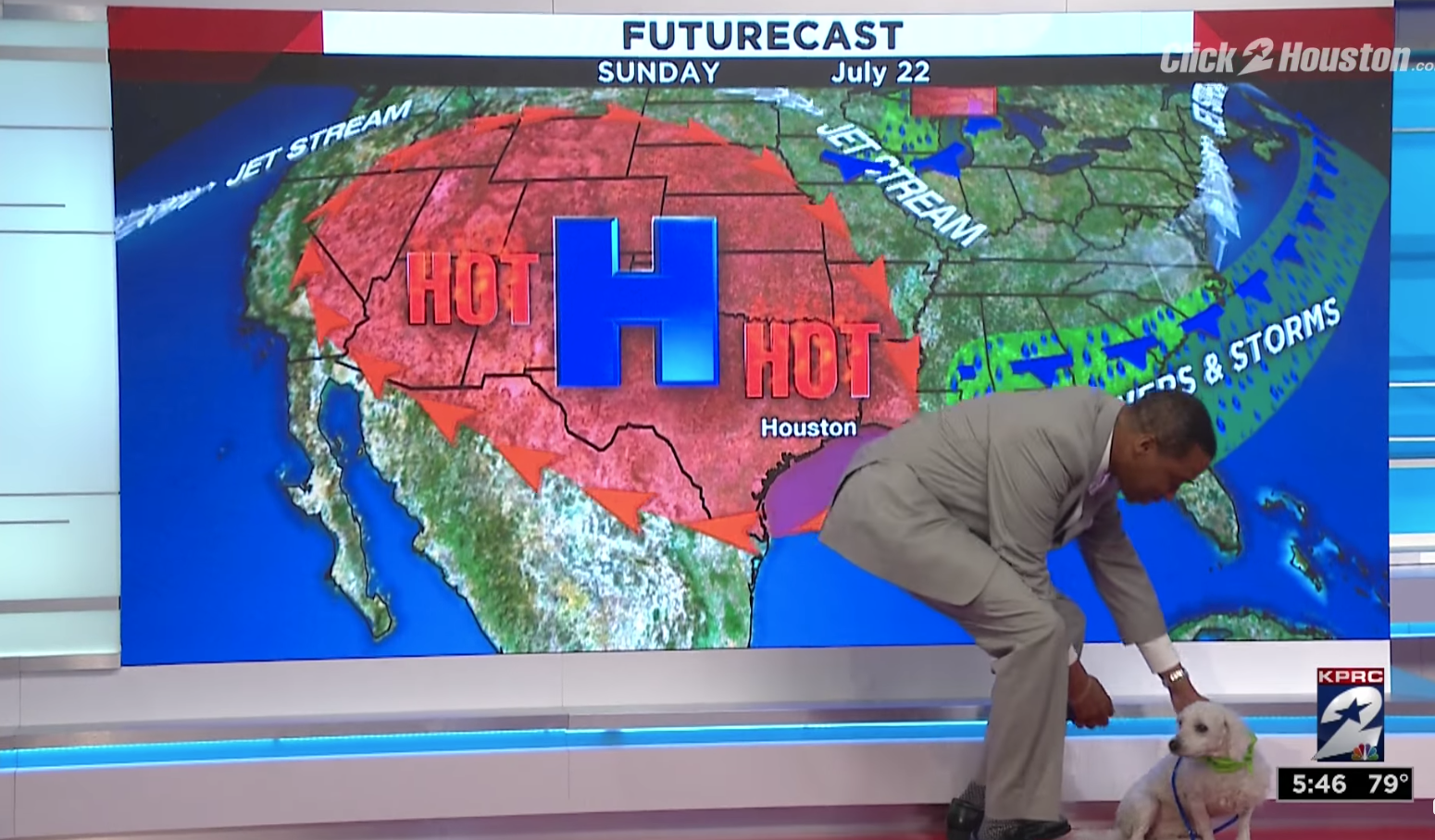 Dog Crashes Live shot 