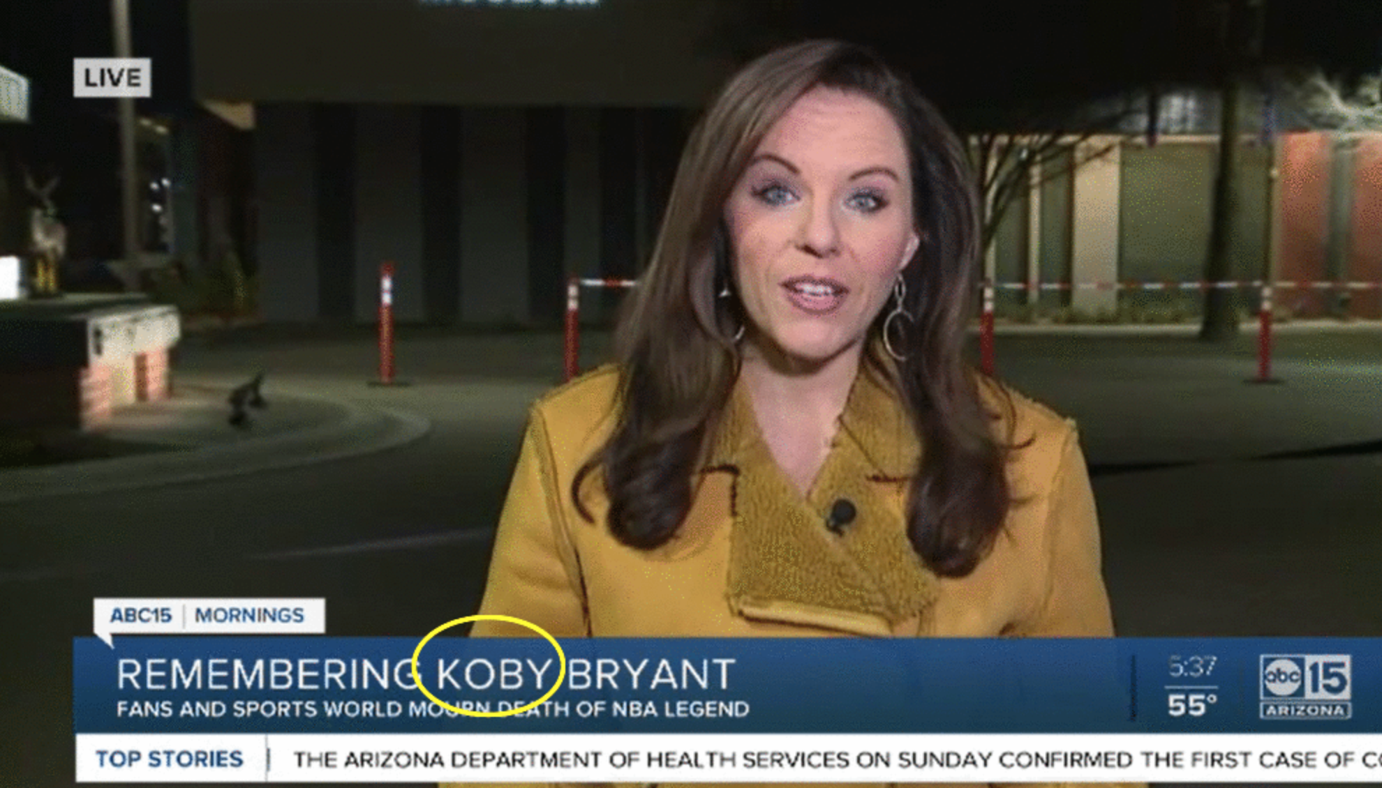 Line One Goes Here... 