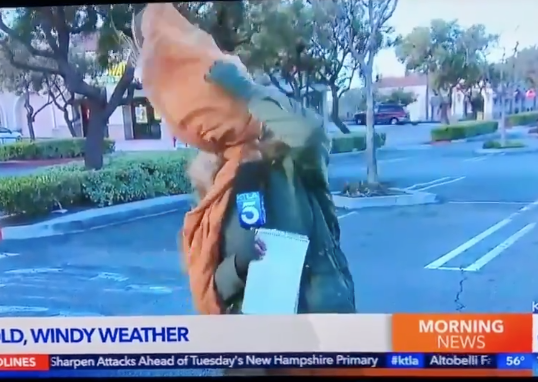 Scarfs and Winds Don't Mix 