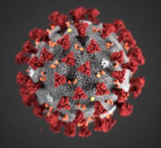 Boston Photog Tests Positive 