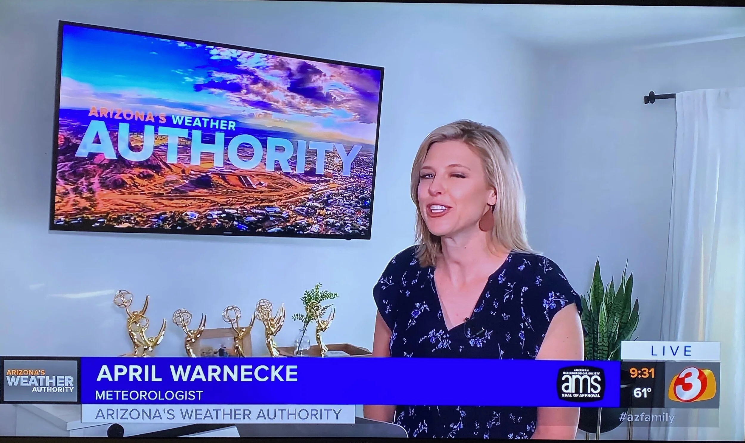 Hey!!! Look at My Emmys