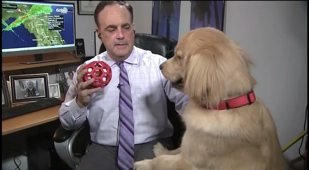 Best Floor Directors Ever