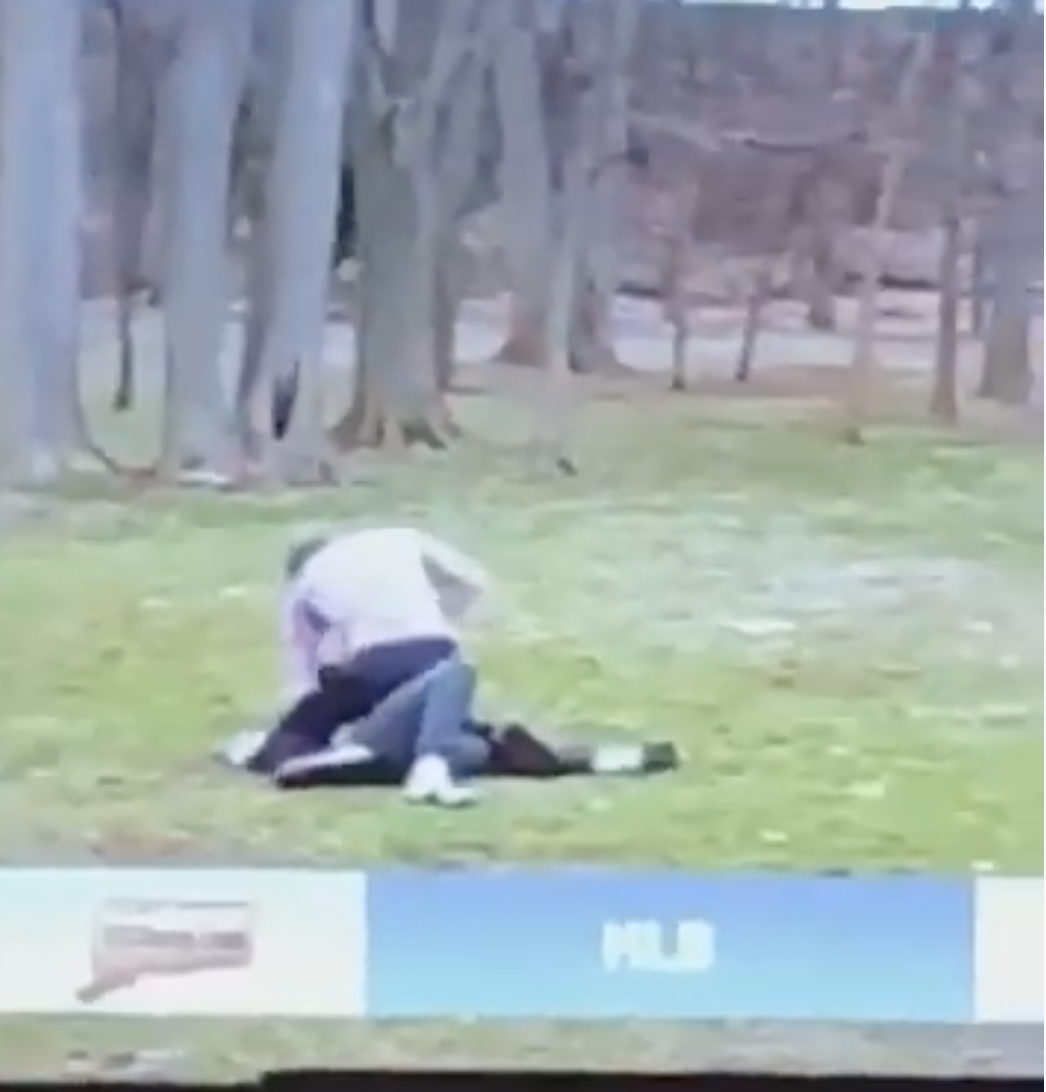 The Kids Steal This Live Shot 