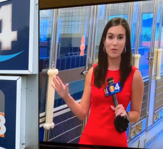 Crossing Alligator Alley