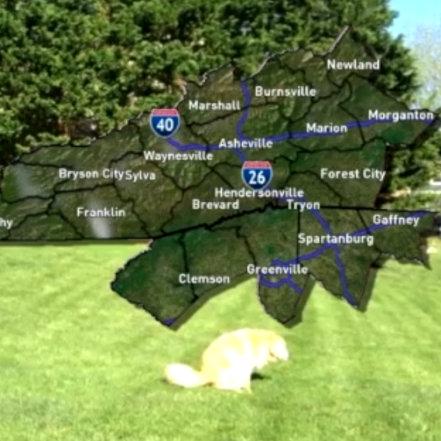 Now That's a Photobomb