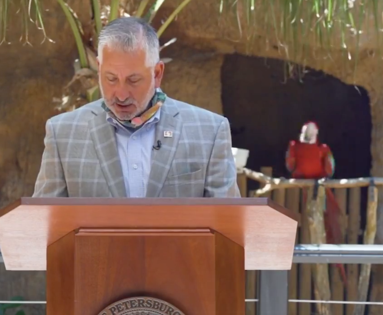 The Parrot Steals the Show 