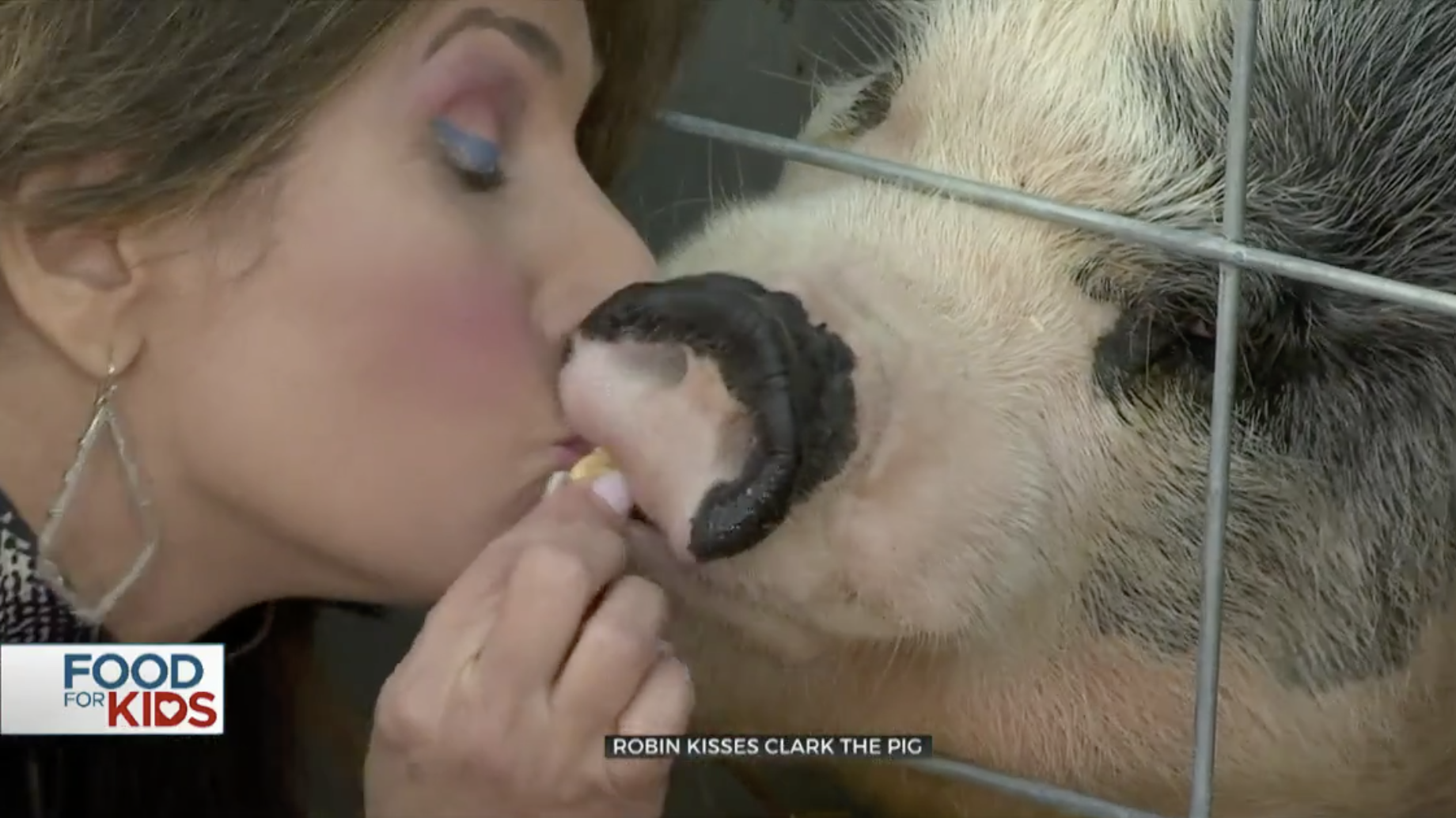 Anchor Kisses a Pig