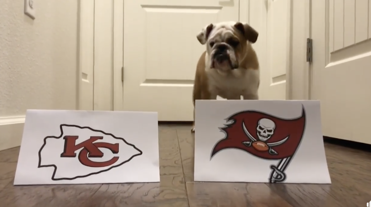 Chubby Got It Right 
