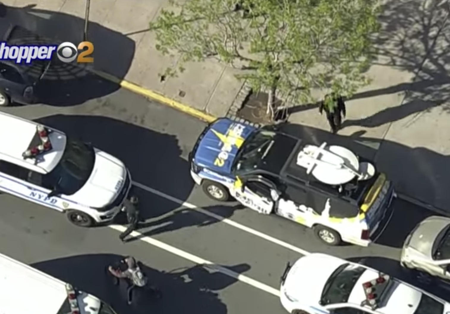 WCBS News Car Stolen 